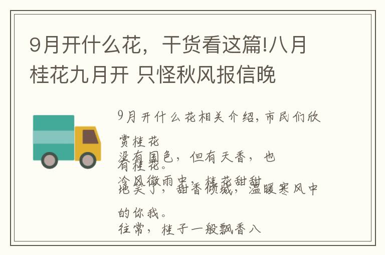 9月开什么花,干货看这篇!八月桂花九月开 只怪秋风报信晚