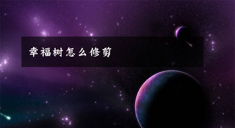 幸福树怎么修剪