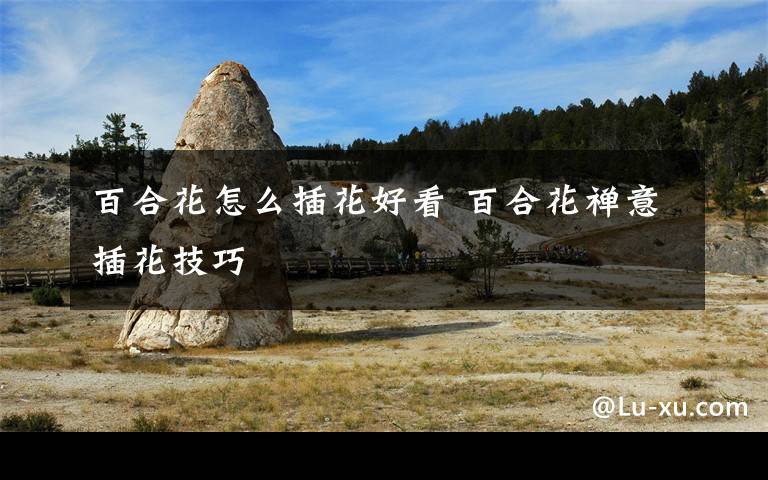 百合花怎么插花好看 百合花禅意插花技巧