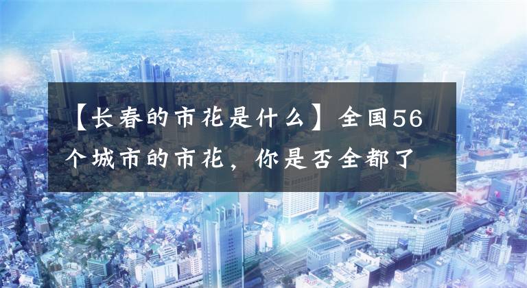 【长春的市花是什么】全国56个城市的市花,你是否全都了解?
