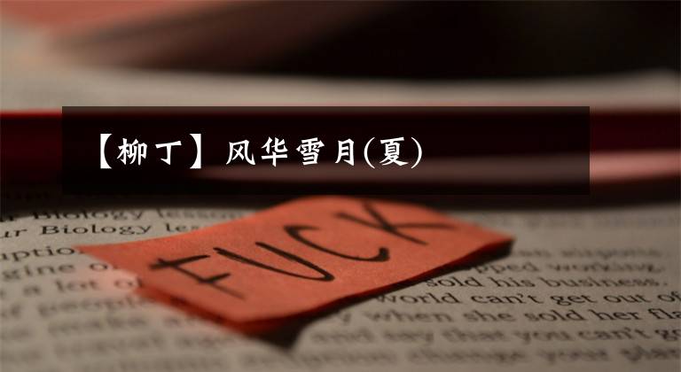 【柳丁】风华雪月(夏)
