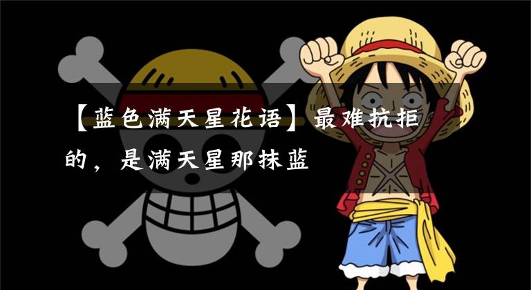 【蓝色满天星花语】最难抗拒的，是满天星那抹蓝