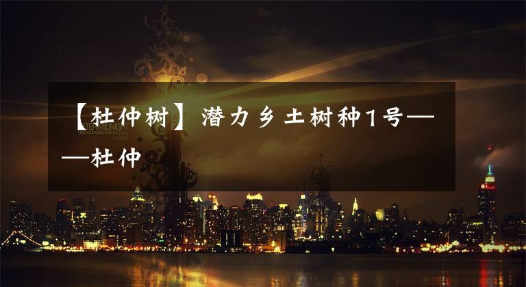 【杜仲树】潜力乡土树种1号——杜仲