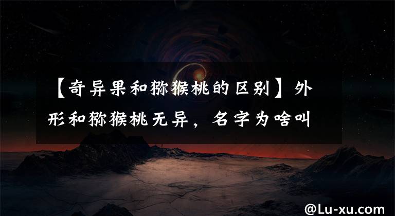 【奇异果和猕猴桃的区别】外形和猕猴桃无异,名字为啥叫奇异果?奇异果和猕猴桃有啥区别?