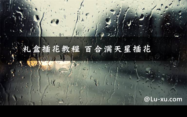 礼盒插花教程 百合满天星插花