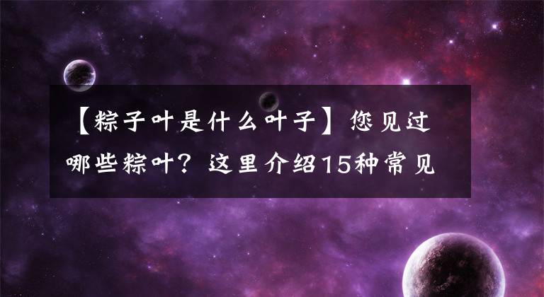 【粽子叶是什么叶子】您见过哪些粽叶?这里介绍15种常见可用于包粽的叶子