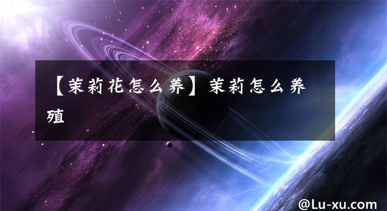 【茉莉花怎么养】茉莉怎么养殖