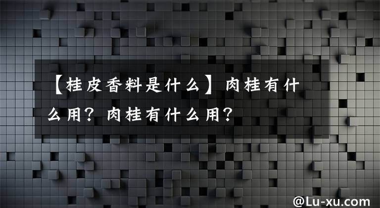 【桂皮香料是什么】肉桂有什么用?肉桂有什么用?