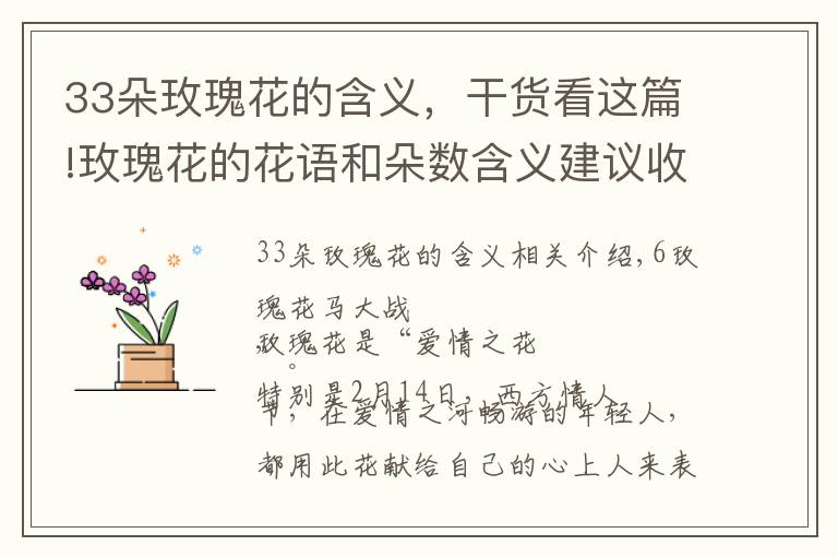 33朵玫瑰花的含义,干货看这篇!玫瑰花的花语和朵数含义建议收藏