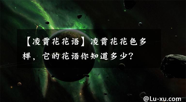 【凌霄花花语】凌霄花花色多样，它的花语你知道多少？