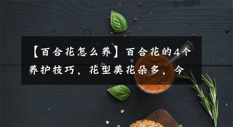 【百合花怎么养】百合花的4个养护技巧,花型美花朵多,今年开了明年又开