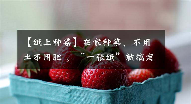 【纸上种菜】在家种菜,不用土不用肥 ,“一张纸”就搞定,蔬菜能吃一整年!