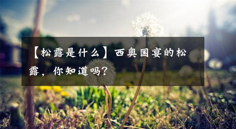 【松露是什么】西奥国宴的松露,你知道吗?