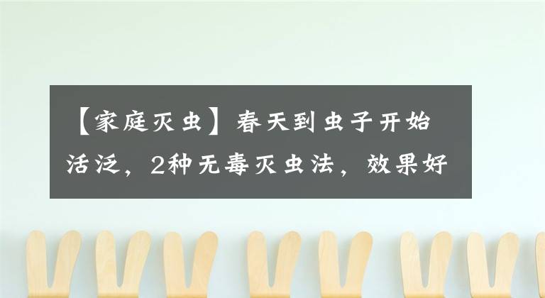 【家庭灭虫】春天到虫子开始活泛，2种无毒灭虫法，效果好自己在家做