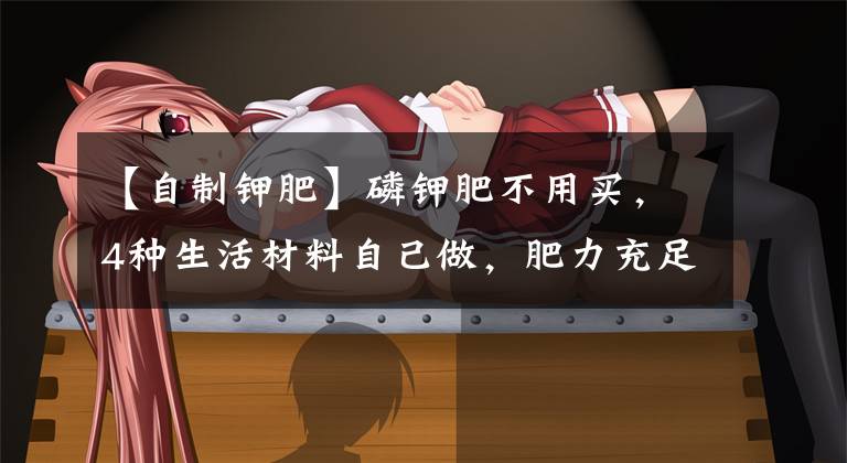 【自制钾肥】磷钾肥不用买,4种生活材料自己做,肥力充足养啥花都旺