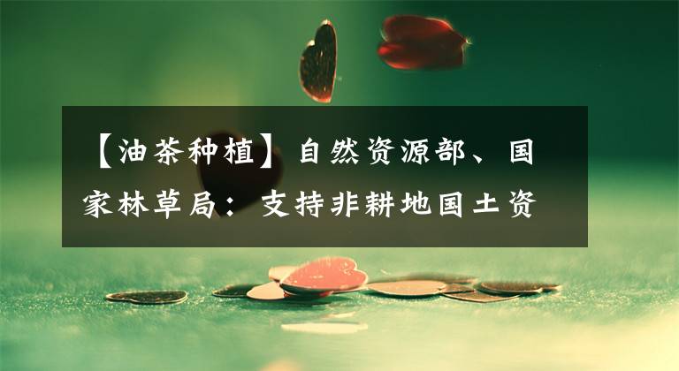 【油茶种植】自然资源部、国家林草局:支持非耕地国土资源的利用,扩建油车。