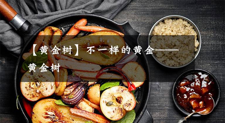 【黄金树】不一样的黄金——黄金树