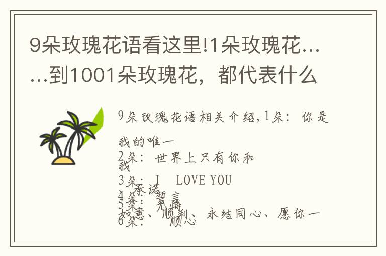 9朵玫瑰花语看这里!1朵玫瑰花……到1001朵玫瑰花,都代表什么,你知道吗?