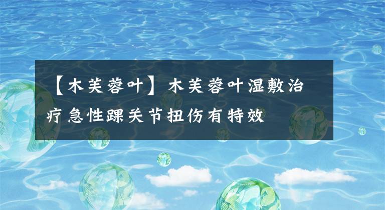 【木芙蓉叶】木芙蓉叶湿敷治疗急性踝关节扭伤有特效