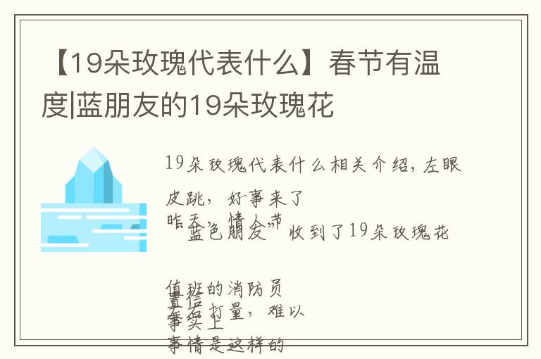【19朵玫瑰代表什么】春节有温度|蓝朋友的19朵玫瑰花
