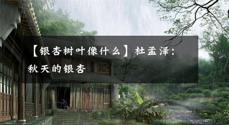 【银杏树叶像什么】杜孟泽:秋天的银杏