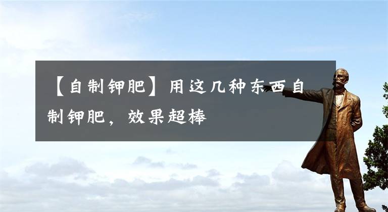 【自制钾肥】用这几种东西自制钾肥,效果超棒