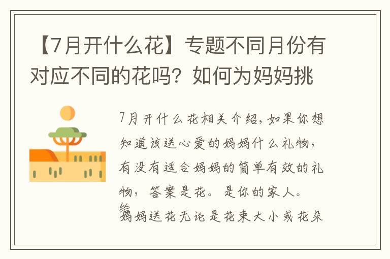 【7月开什么花】专题不同月份有对应不同的花吗？如何为妈妈挑选出生月份的花？