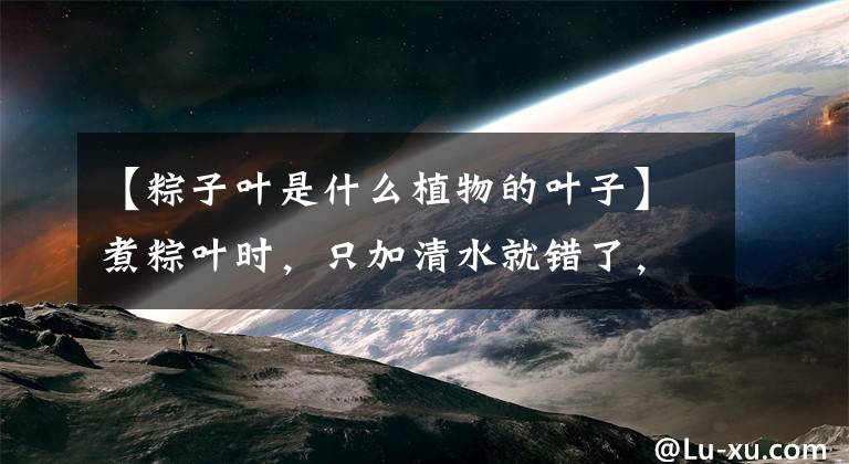 【粽子叶是什么植物的叶子】煮粽叶时,只加清水就错了,多加1样,包粽子时不断不裂,特柔软