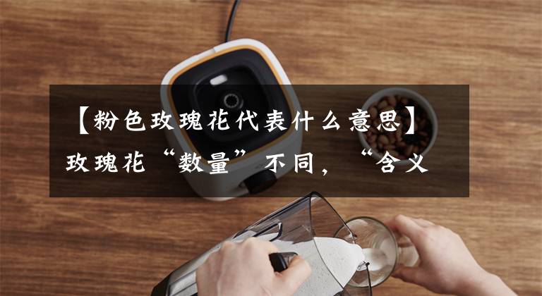 【粉色玫瑰花代表什么意思】玫瑰花“数量”不同,“含义”也不同,送错了容易闹笑话