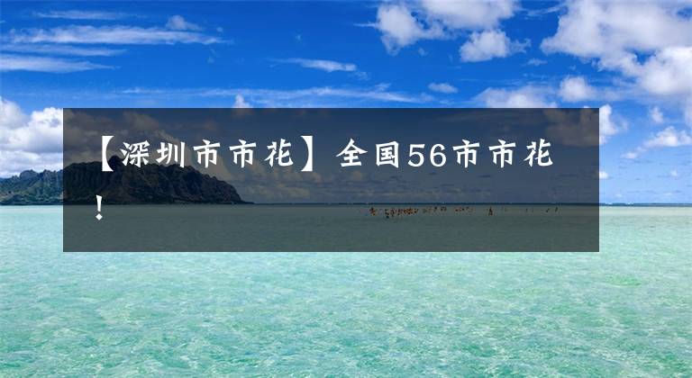 【深圳市市花】全国56市市花!