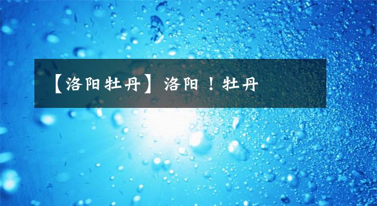 【洛阳牡丹】洛阳!牡丹