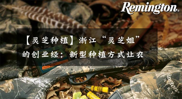 【灵芝种植】浙江“灵芝姐”的创业经：新型种植方式让农户走上致富路