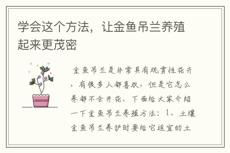 学会这个方法,让金鱼吊兰养殖起来更茂密