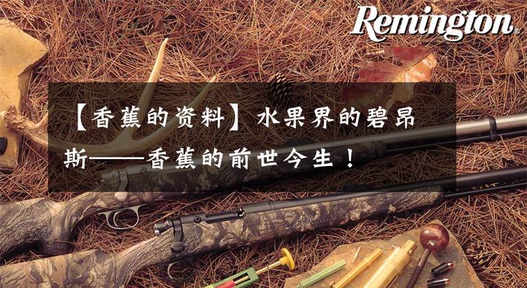 【香蕉的资料】水果界的碧昂斯——香蕉的前世今生!