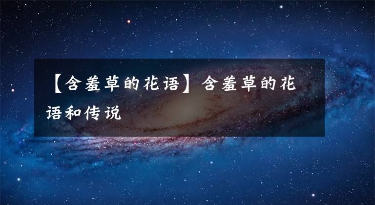 【含羞草的花语】含羞草的花语和传说