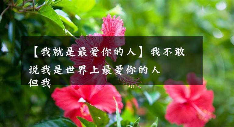 【我就是最爱你的人】我不敢说我是世界上最爱你的人 但我敢说你是我最用心的人 ​​​