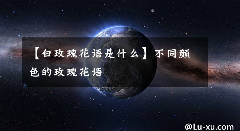 【白玫瑰花语是什么】不同颜色的玫瑰花语