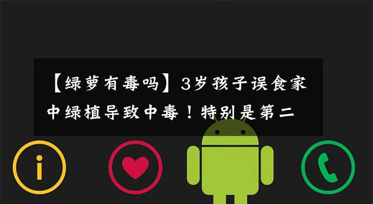 【绿萝有毒吗】3岁孩子误食家中绿植导致中毒！特别是第二种，你家一定也有