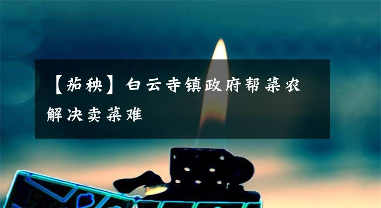 【茄秧】白云寺镇政府帮菜农解决卖菜难