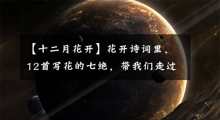 【十二月花开】花开诗词里，12首写花的七绝，带我们走过美不胜收的一年四季