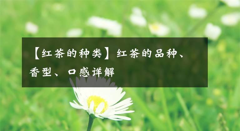 【红茶的种类】红茶的品种、香型、口感详解