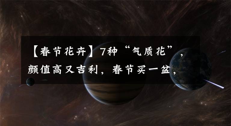 【春节花卉】7种“气质花”,颜值高又吉利,春节买一盆,讨个好彩头