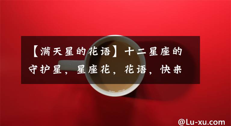 【满天星的花语】十二星座的守护星,星座花,花语,快来看看你的是什么吧