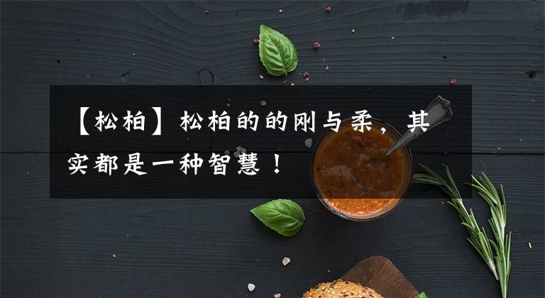 【松柏】松柏的的刚与柔,其实都是一种智慧!