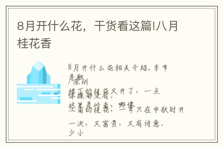 8月开什么花，干货看这篇!八月桂花香