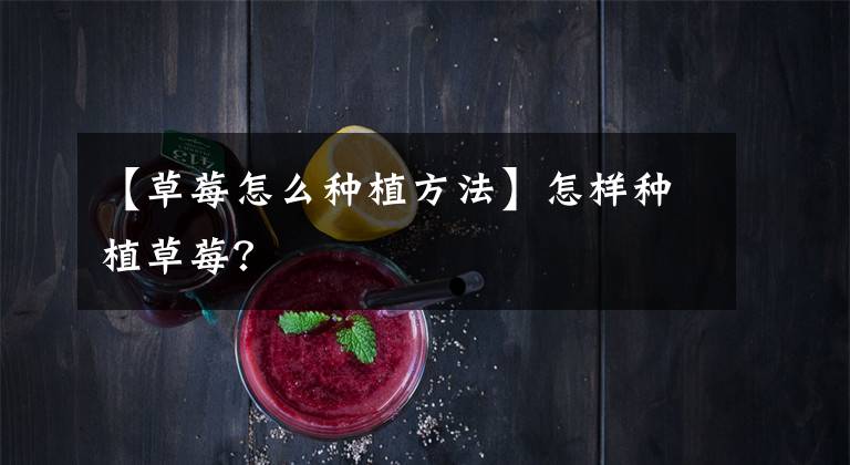 【草莓怎么种植方法】怎样种植草莓？