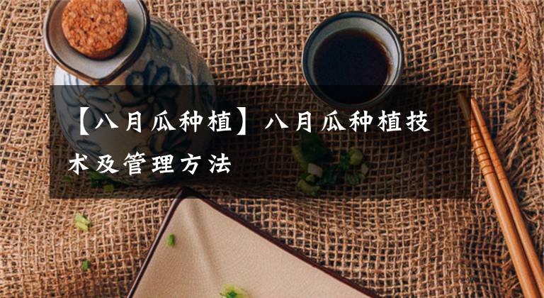 【八月瓜种植】八月瓜种植技术及管理方法
