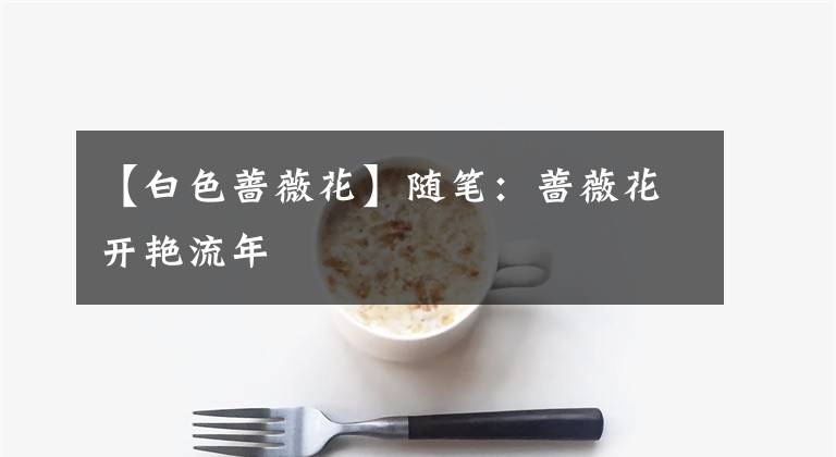 【白色蔷薇花】随笔:蔷薇花开艳流年