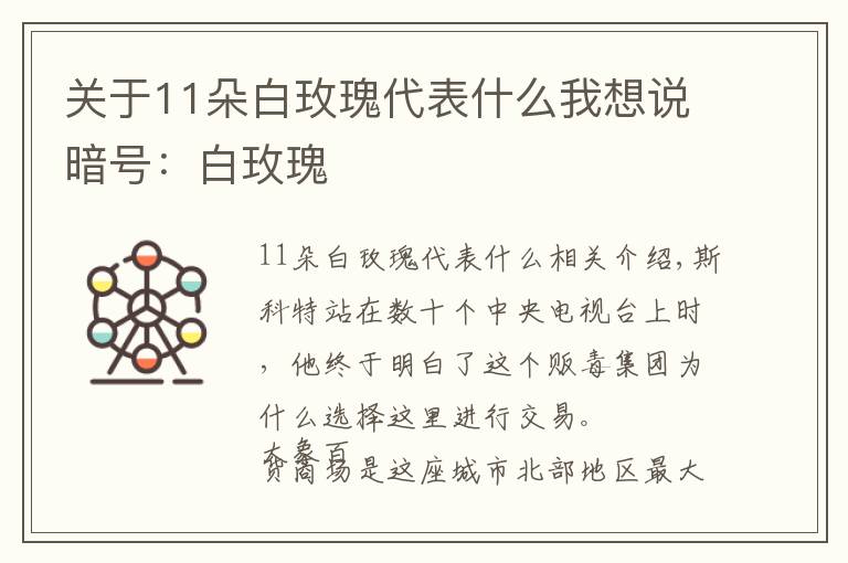 关于11朵白玫瑰代表什么我想说暗号:白玫瑰