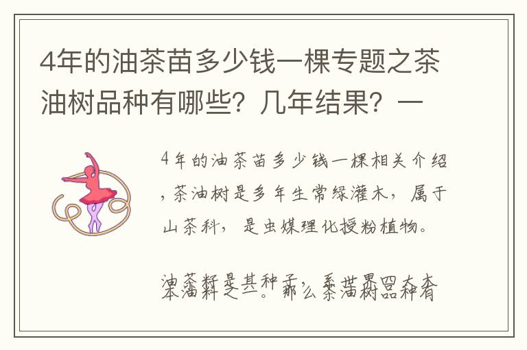 4年的油茶苗多少钱一棵专题之茶油树品种有哪些?几年结果?一亩地有多少收入?